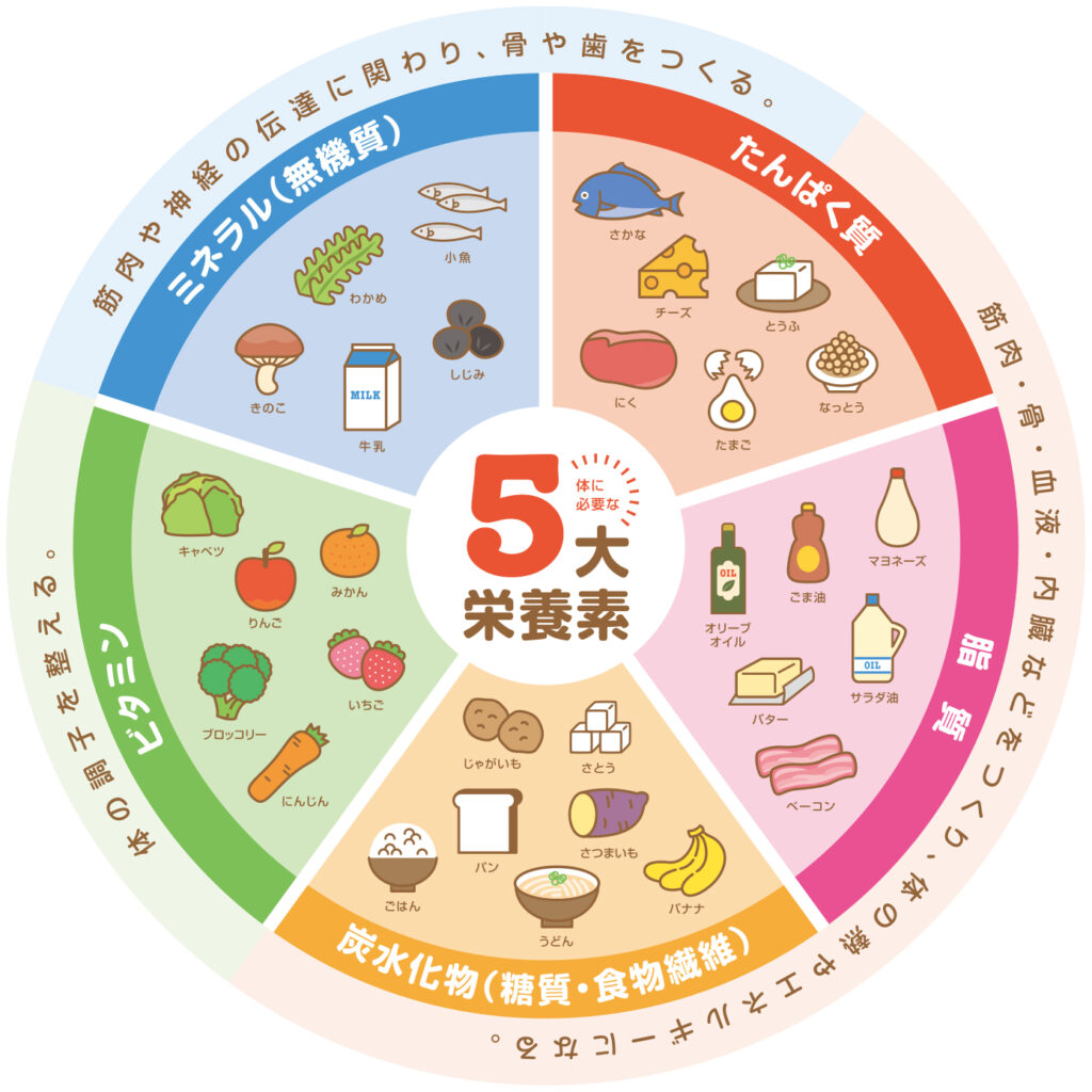五大栄養素のうち一つを占める脂質の重要性